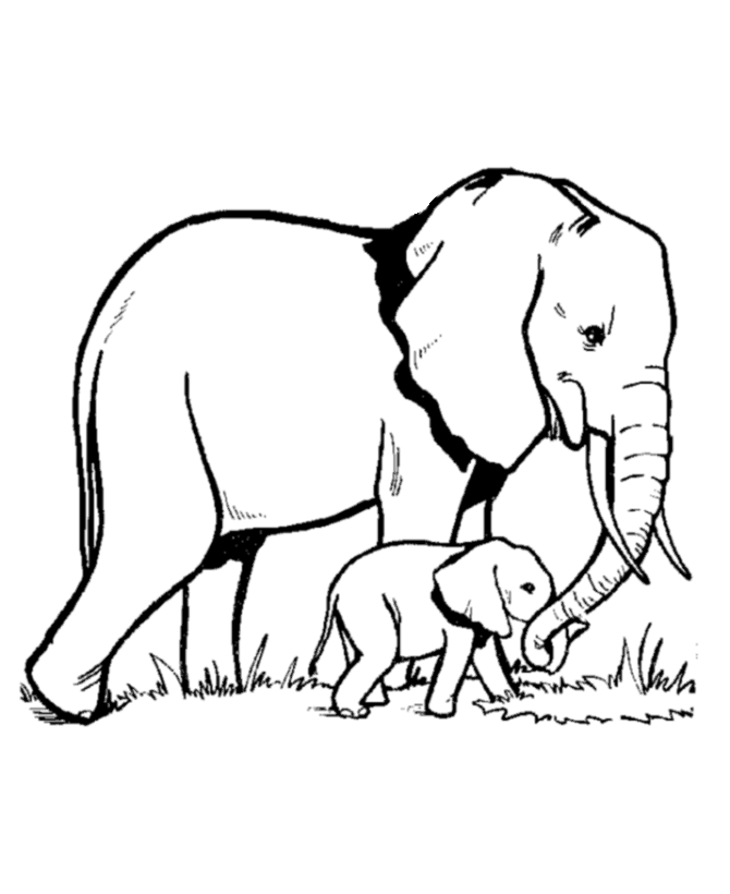 Página para colorir: Elefante (animais) #6300 - Páginas para Colorir Imprimíveis Gratuitamente
