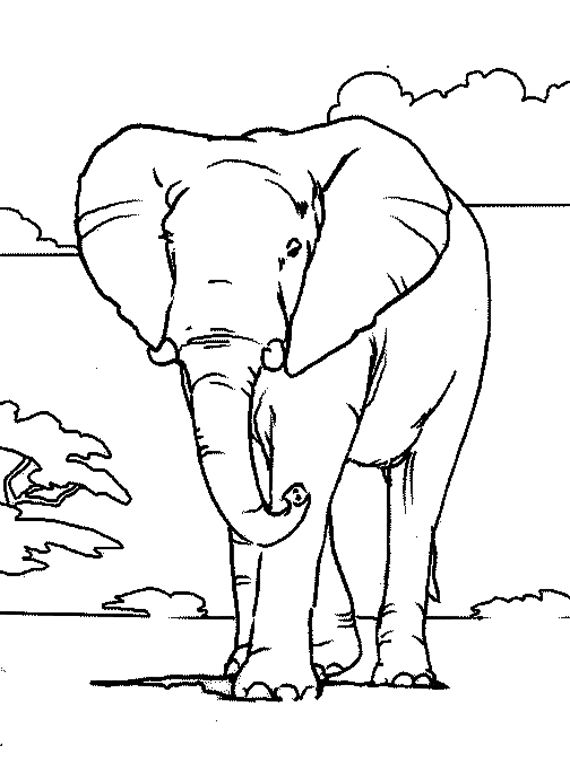 Página para colorir: Elefante (animais) #6301 - Páginas para Colorir Imprimíveis Gratuitamente