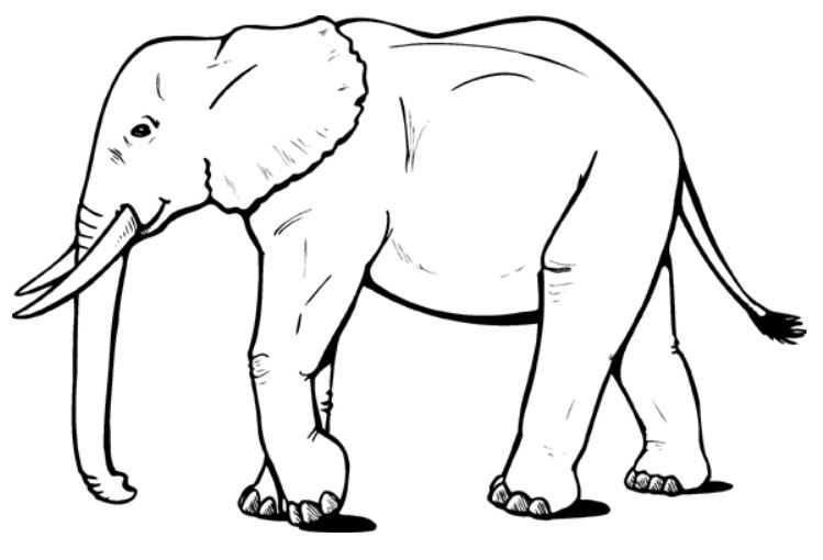 Página para colorir: Elefante (animais) #6310 - Páginas para Colorir Imprimíveis Gratuitamente