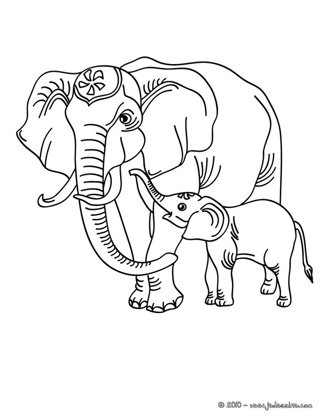 Página para colorir: Elefante (animais) #6337 - Páginas para Colorir Imprimíveis Gratuitamente