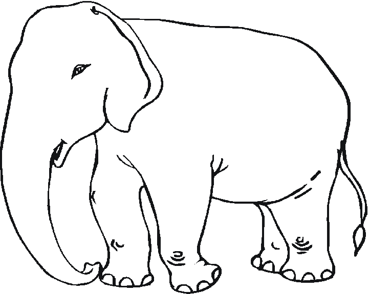 Página para colorir: Elefante (animais) #6342 - Páginas para Colorir Imprimíveis Gratuitamente