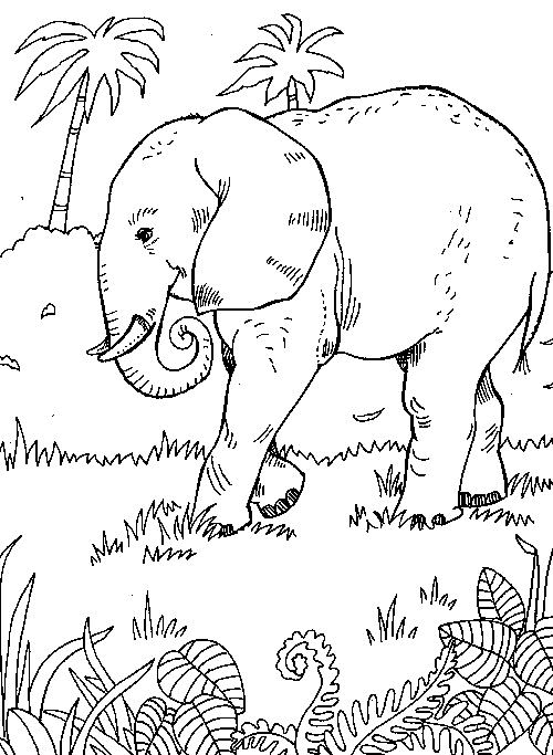 Página para colorir: Elefante (animais) #6345 - Páginas para Colorir Imprimíveis Gratuitamente