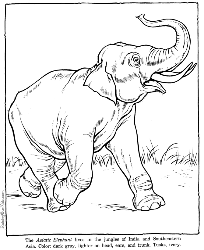 Página para colorir: Elefante (animais) #6418 - Páginas para Colorir Imprimíveis Gratuitamente