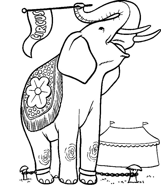 Página para colorir: Elefante (animais) #6422 - Páginas para Colorir Imprimíveis Gratuitamente