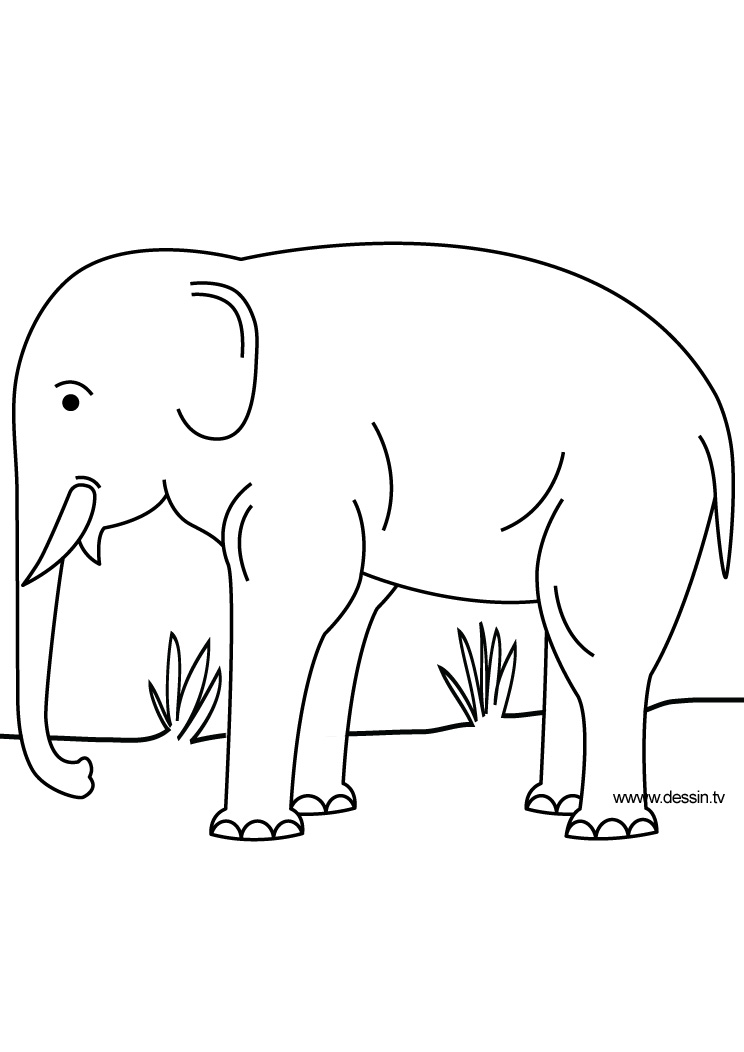 Página para colorir: Elefante (animais) #6440 - Páginas para Colorir Imprimíveis Gratuitamente