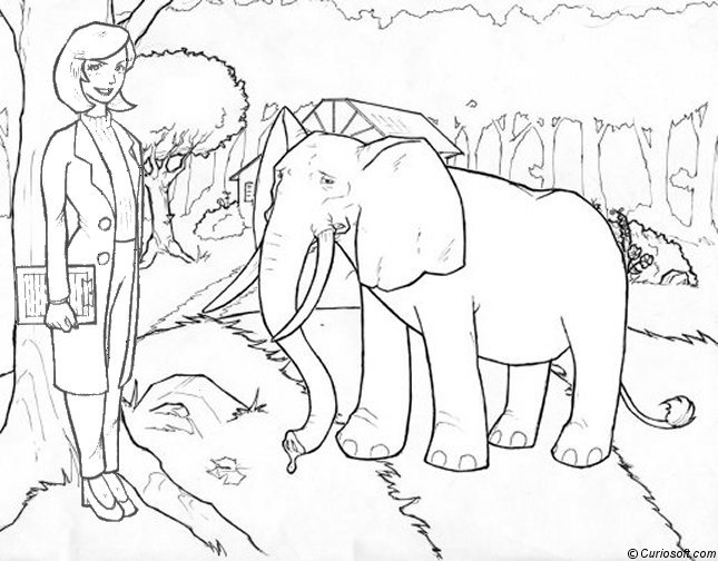 Página para colorir: Elefante (animais) #6455 - Páginas para Colorir Imprimíveis Gratuitamente