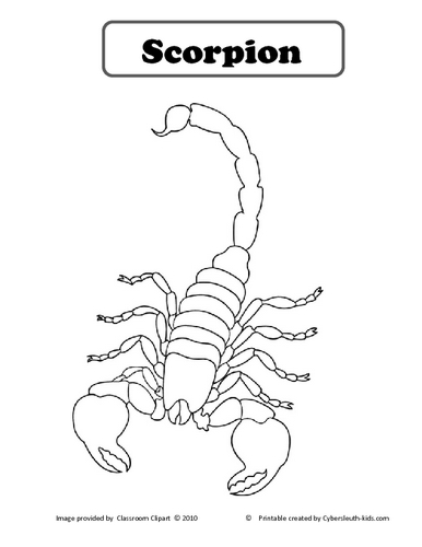 Página para colorir: Escorpião (animais) #14610 - Páginas para Colorir Imprimíveis Gratuitamente