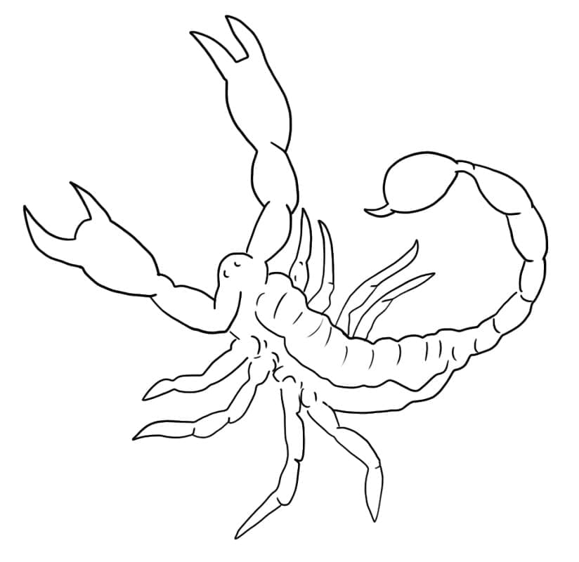 Desenho gratuito Escorpião #209577 da colecao Animais para imprimir Desenho gratuito Escorpião #209577 da colecao Animais para imprimir