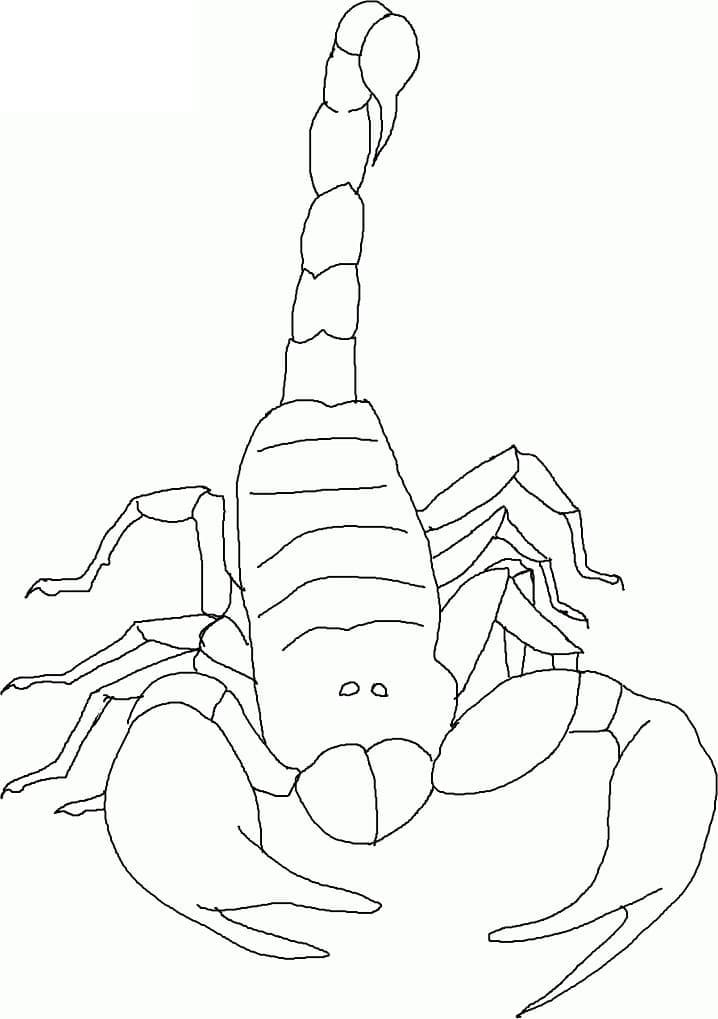 Linda página de Escorpião #209578 para colorir, da coleção Animais, baixe grátis Linda página de Escorpião #209578 para colorir, da coleção Animais, baixe grátis