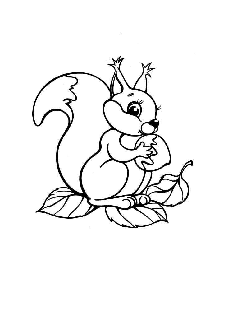 Desenho gratuito Esquilo #177456 da colecao Animais para imprimir