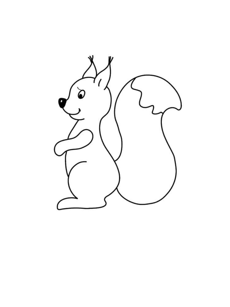 Desenho gratuito Esquilo #177480 da colecao Animais para imprimir