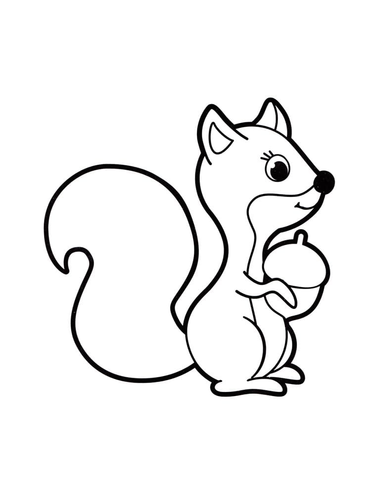 Desenho gratuito Esquilo #177484 da colecao Animais para imprimir