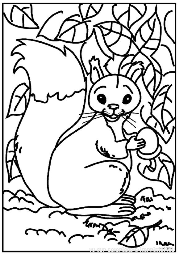 Página para colorir: Esquilo (animais) #6100 - Páginas para Colorir Imprimíveis Gratuitamente