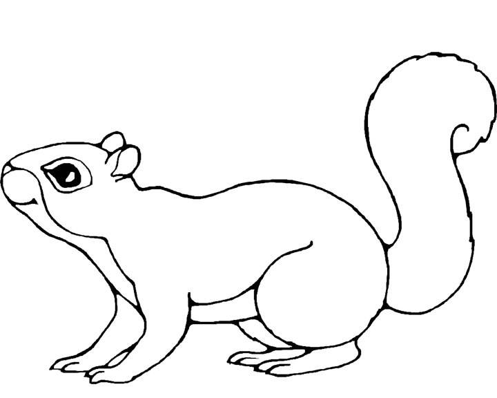 Página para colorir: Esquilo (animais) #6113 - Páginas para Colorir Imprimíveis Gratuitamente