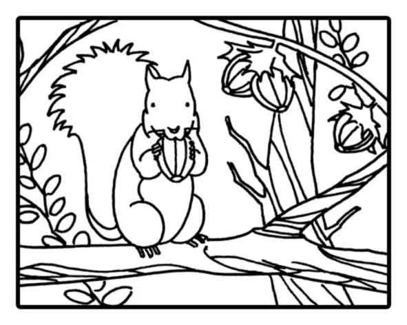 Página para colorir: Esquilo (animais) #6159 - Páginas para Colorir Imprimíveis Gratuitamente