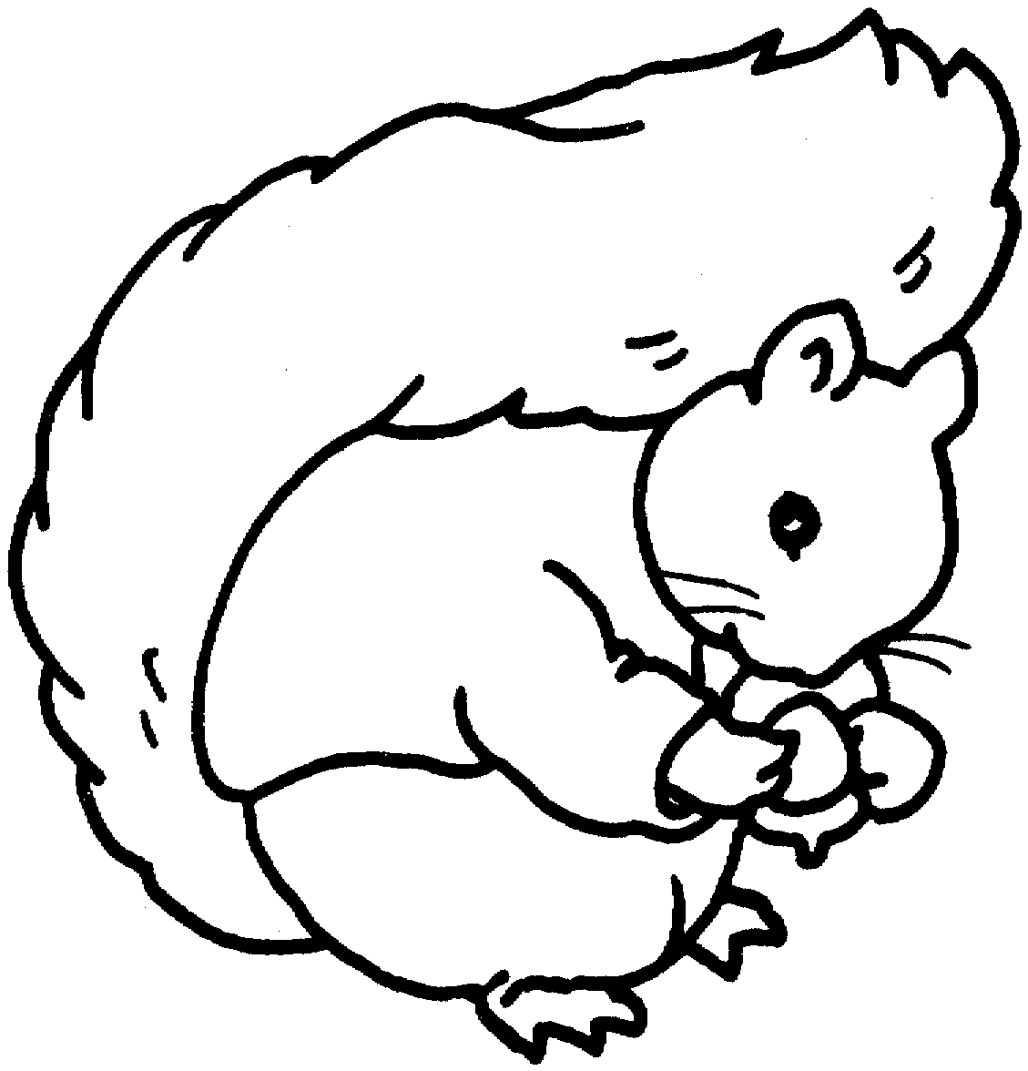 Página para colorir: Esquilo (animais) #6166 - Páginas para Colorir Imprimíveis Gratuitamente