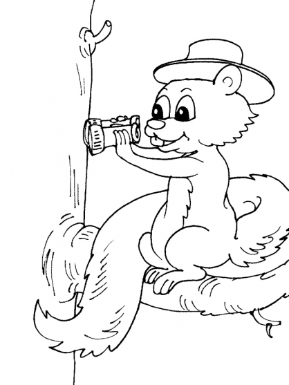Página para colorir: Esquilo (animais) #6168 - Páginas para Colorir Imprimíveis Gratuitamente