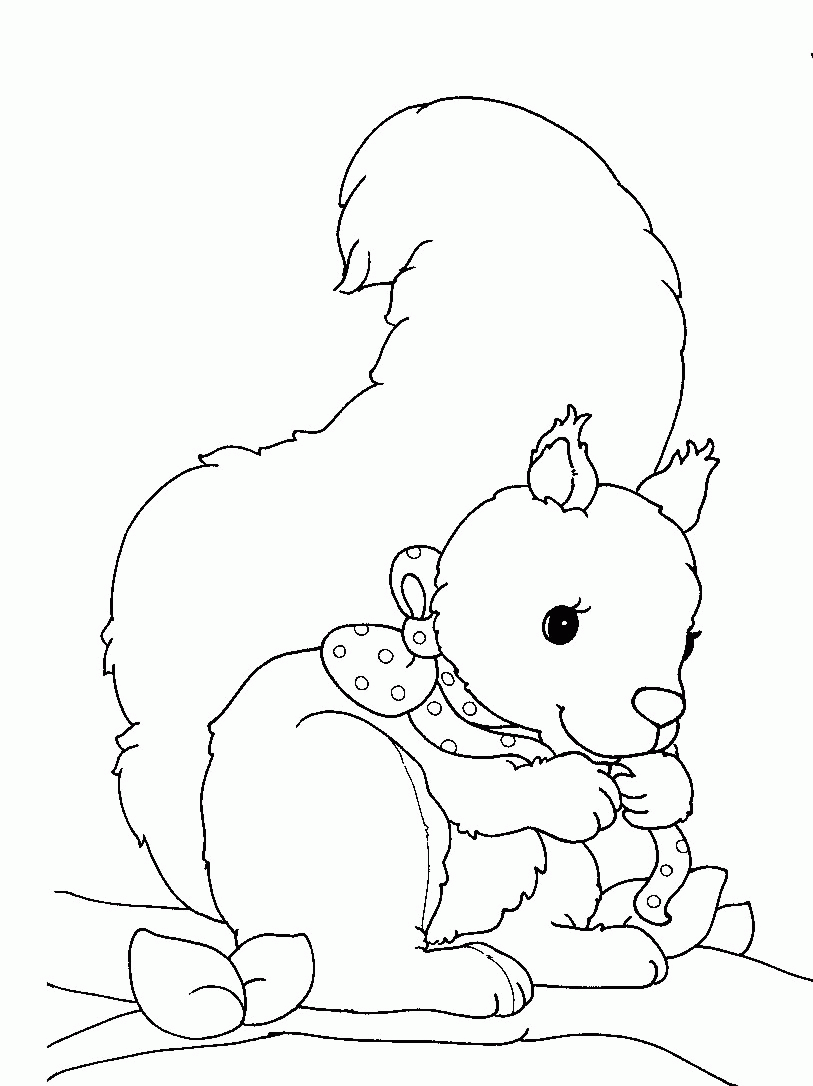 Página para colorir: Esquilo (animais) #6175 - Páginas para Colorir Imprimíveis Gratuitamente