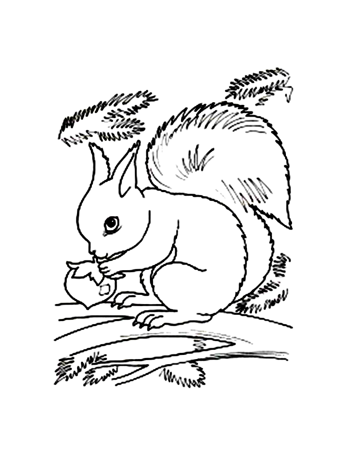 Página para colorir: Esquilo (animais) #6187 - Páginas para Colorir Imprimíveis Gratuitamente