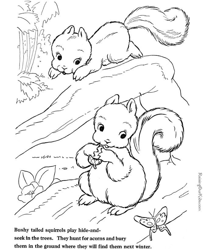 Página para colorir: Esquilo (animais) #6191 - Páginas para Colorir Imprimíveis Gratuitamente