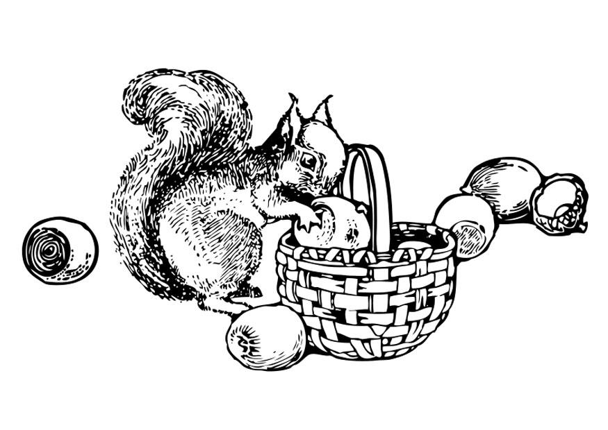Página para colorir: Esquilo (animais) #6193 - Páginas para Colorir Imprimíveis Gratuitamente