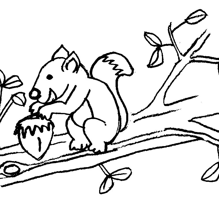 Página para colorir: Esquilo (animais) #6194 - Páginas para Colorir Imprimíveis Gratuitamente