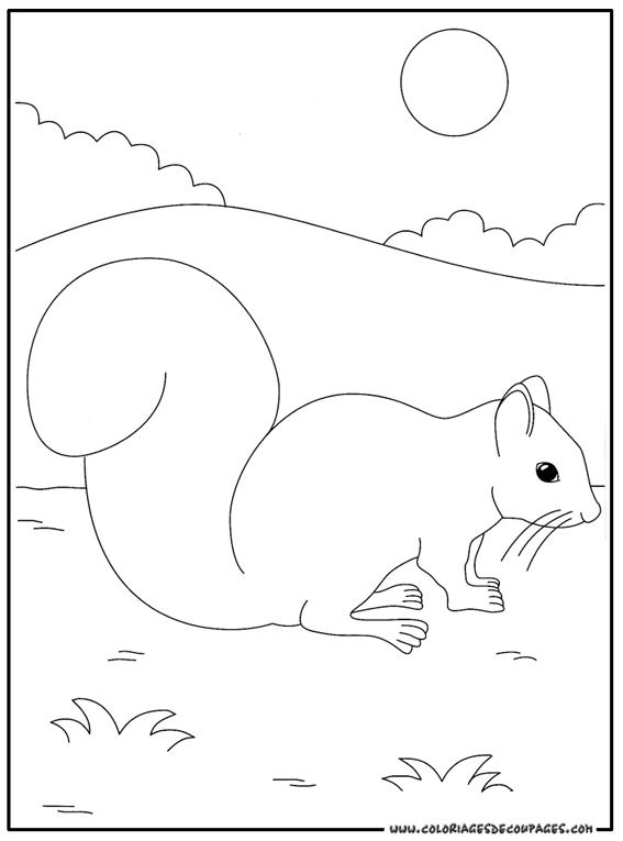 Página para colorir: Esquilo (animais) #6202 - Páginas para Colorir Imprimíveis Gratuitamente