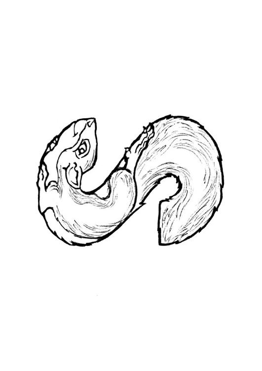 Página para colorir: Esquilo (animais) #6241 - Páginas para Colorir Imprimíveis Gratuitamente