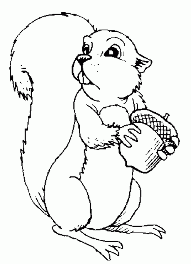 Página para colorir: Esquilo (animais) #6242 - Páginas para Colorir Imprimíveis Gratuitamente