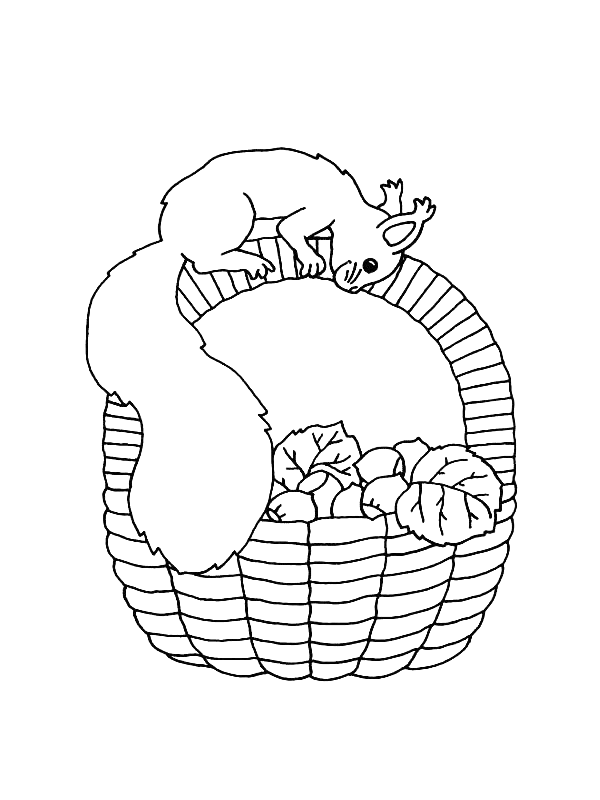 Página para colorir: Esquilo (animais) #6243 - Páginas para Colorir Imprimíveis Gratuitamente