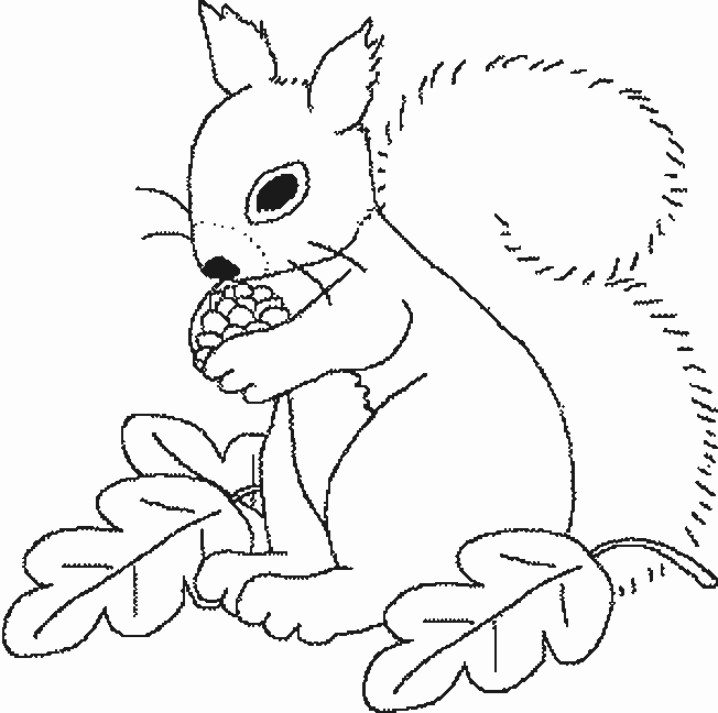 Página para colorir: Esquilo (animais) #6249 - Páginas para Colorir Imprimíveis Gratuitamente