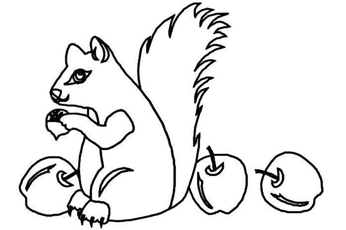 Página para colorir: Esquilo (animais) #6255 - Páginas para Colorir Imprimíveis Gratuitamente