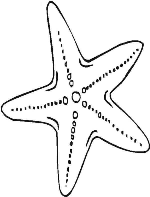 Desenho gratuito Estrela-do-mar #187139 da colecao Animais para imprimir