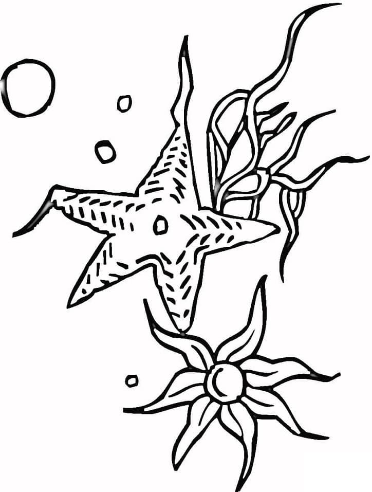 Desenho gratuito Estrela-do-mar #187147 da colecao Animais para imprimir