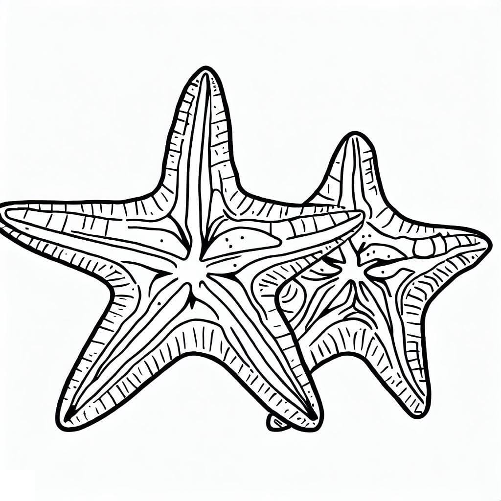 Desenho gratuito Estrela-do-mar #187153 da colecao Animais para imprimir