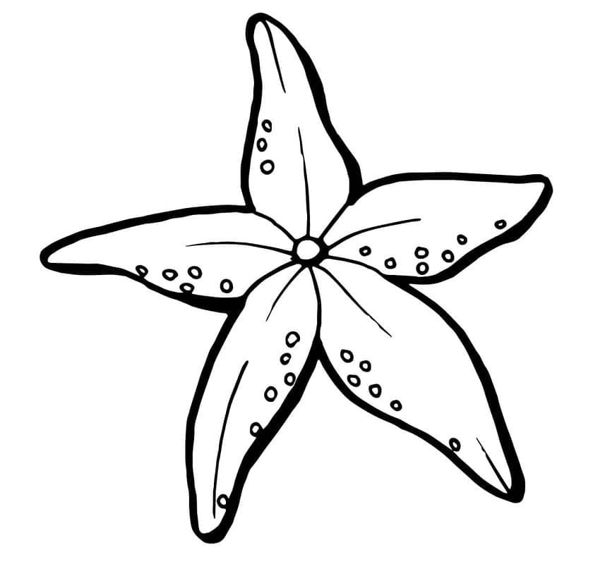 Desenho gratuito Estrela-do-mar #187155 da colecao Animais para imprimir