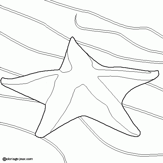 Página para colorir: Estrela do Mar (animais) #6715 - Páginas para Colorir Imprimíveis Gratuitamente