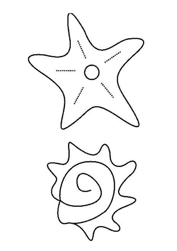Página para colorir: Estrela do Mar (animais) #6723 - Páginas para Colorir Imprimíveis Gratuitamente