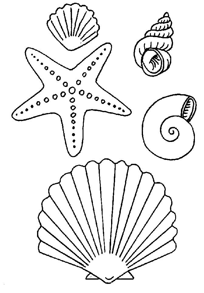 Página para colorir: Estrela do Mar (animais) #6794 - Páginas para Colorir Imprimíveis Gratuitamente