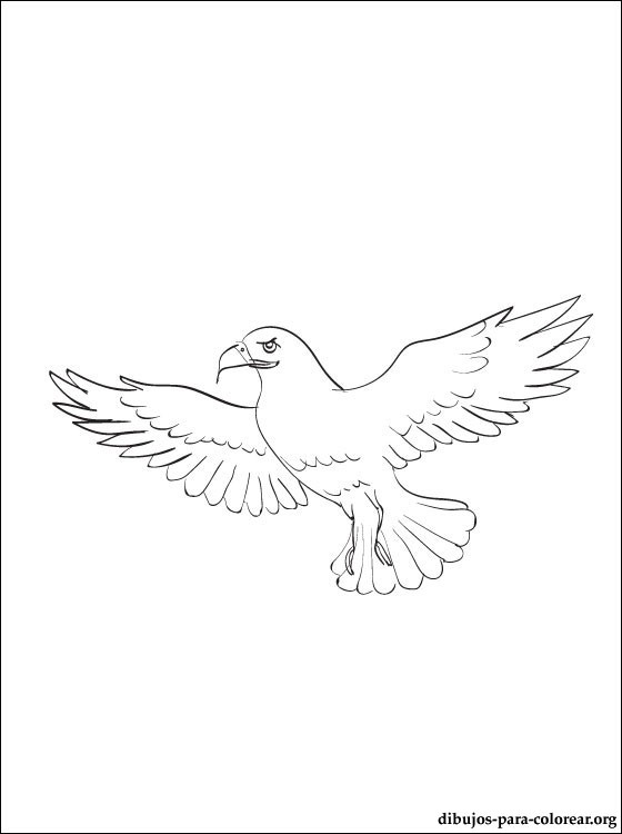 Página para colorir: Falcão (animais) #6842 - Páginas para Colorir Imprimíveis Gratuitamente