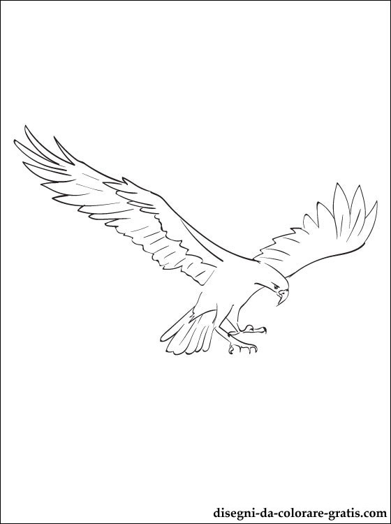 Página para colorir: Falcão (animais) #6851 - Páginas para Colorir Imprimíveis Gratuitamente
