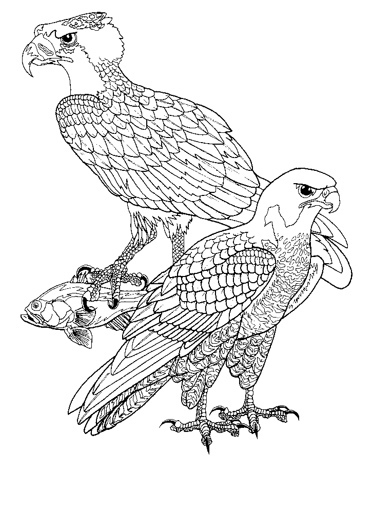 Página para colorir: Falcão (animais) #6867 - Páginas para Colorir Imprimíveis Gratuitamente
