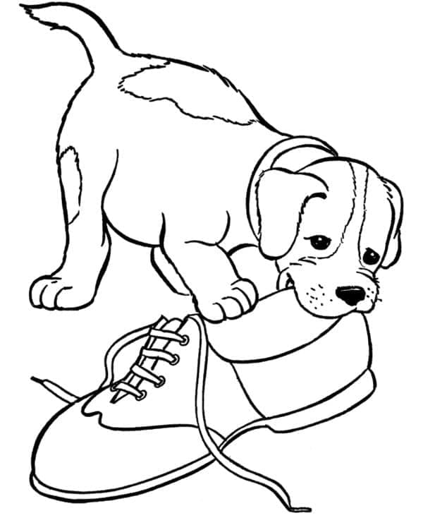 Página para colorir de Filhote #199533 pertencente à coleção Animais Página para colorir de Filhote #199533 pertencente à coleção Animais