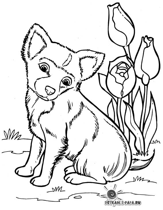 Desenho gratuito Filhote #2941 da colecao Animais para imprimir