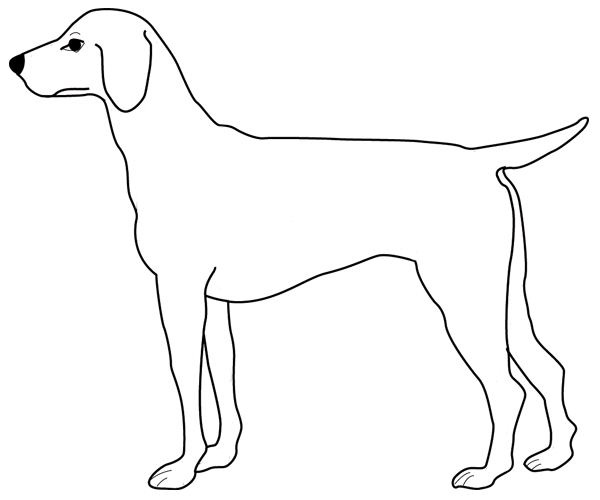 Desenho gratuito Filhote #2956 da colecao Animais para imprimir Desenho gratuito Filhote #2956 da colecao Animais para imprimir