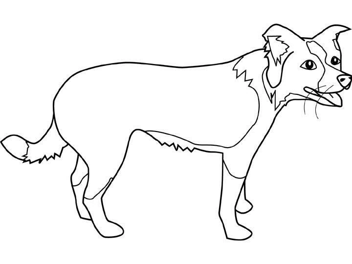 Desenho gratuito Filhote #3088 da colecao Animais para imprimir