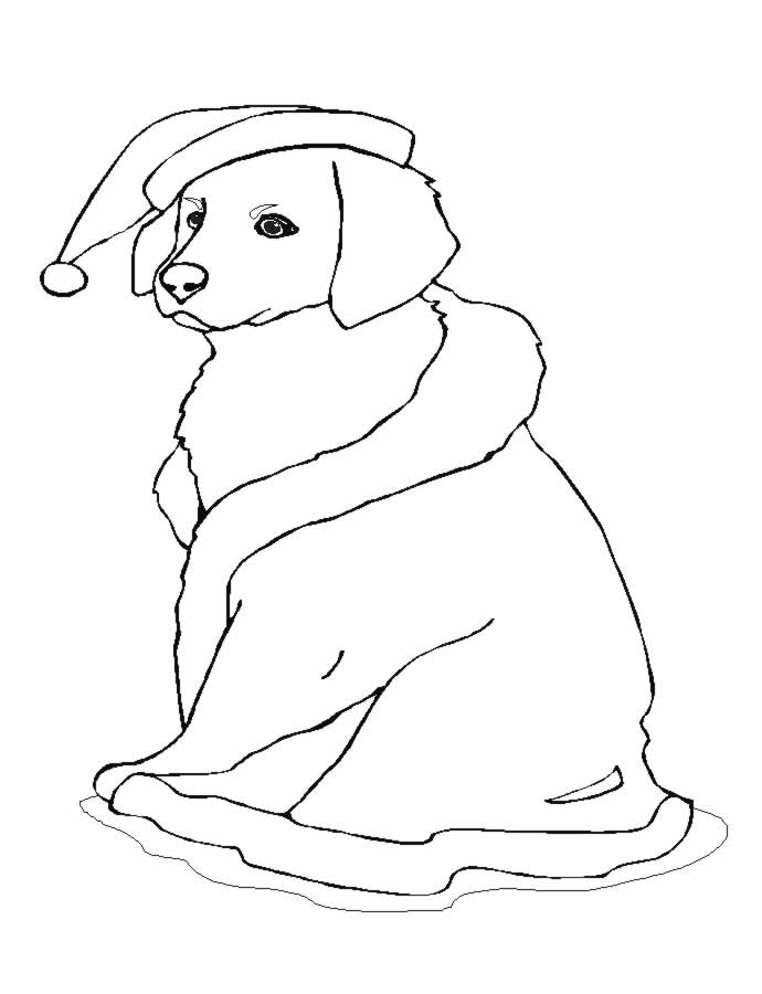 Página para colorir: Filhote de cachorro (animais) #2905 - Páginas para Colorir Imprimíveis Gratuitamente