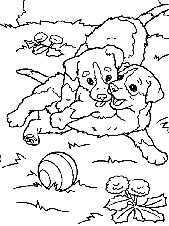 Página para colorir: Filhote de cachorro (animais) #3005 - Páginas para Colorir Imprimíveis Gratuitamente