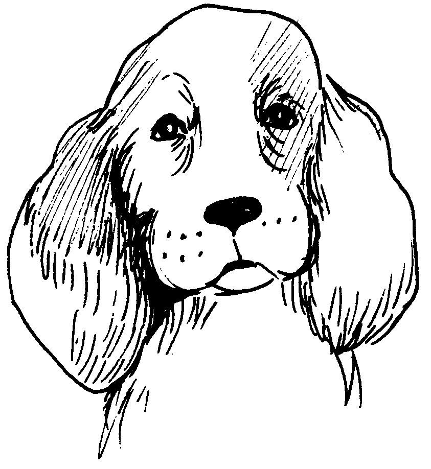 Página para colorir: Filhote de cachorro (animais) #3017 - Páginas para Colorir Imprimíveis Gratuitamente