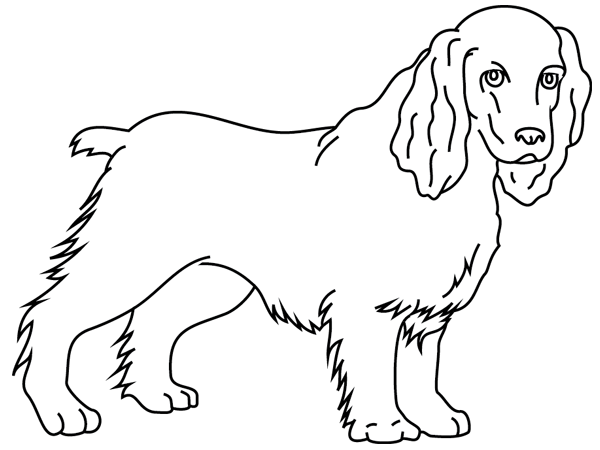 Página para colorir: Filhote de cachorro (animais) #3077 - Páginas para Colorir Imprimíveis Gratuitamente